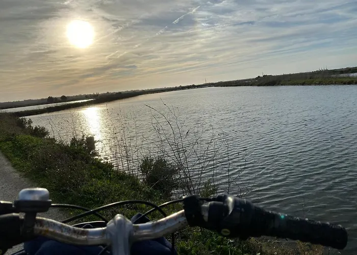 Ღ L'Epinette - Proche Plage, Wi-Fi & Parking * La Couarde-sur-Mer